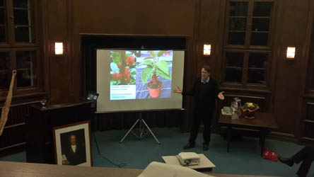 Vortrag Sylk Schneider zu Goethe, Goethe und Brasilien